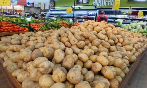 Barra Mansa: Pesquisas do Procon são referência para os consumidores na hora de fazer suas compras